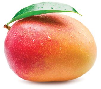 article image -